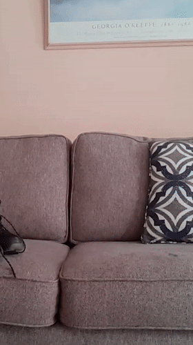 Customer review video