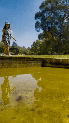 Customer review video