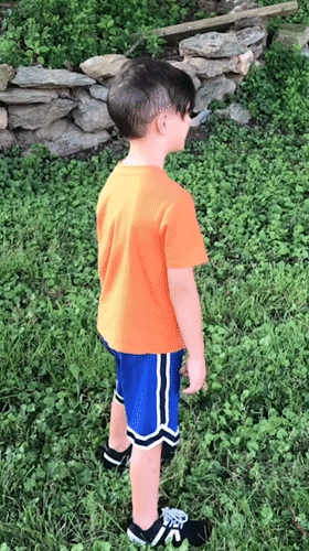 Customer review video